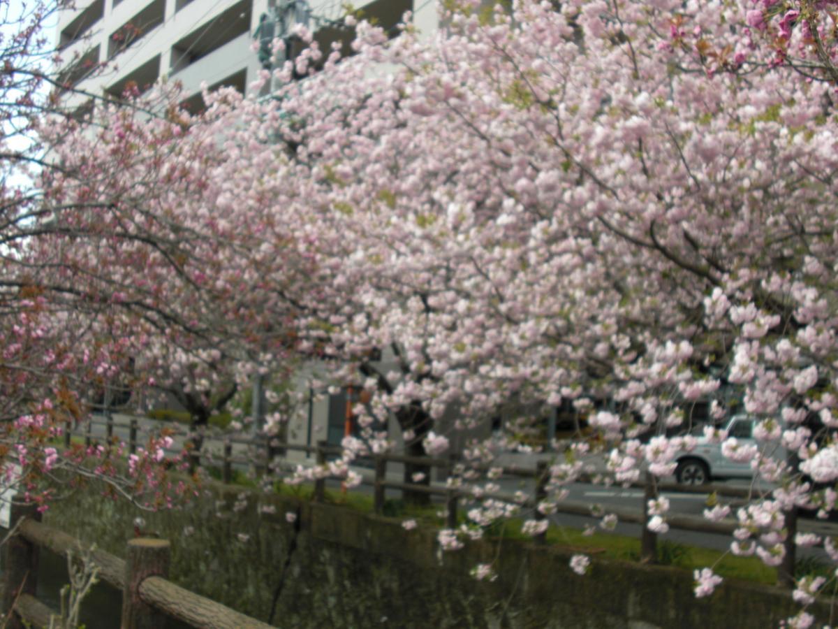 Plaza Hotel Fujinoi Hita Luaran gambar